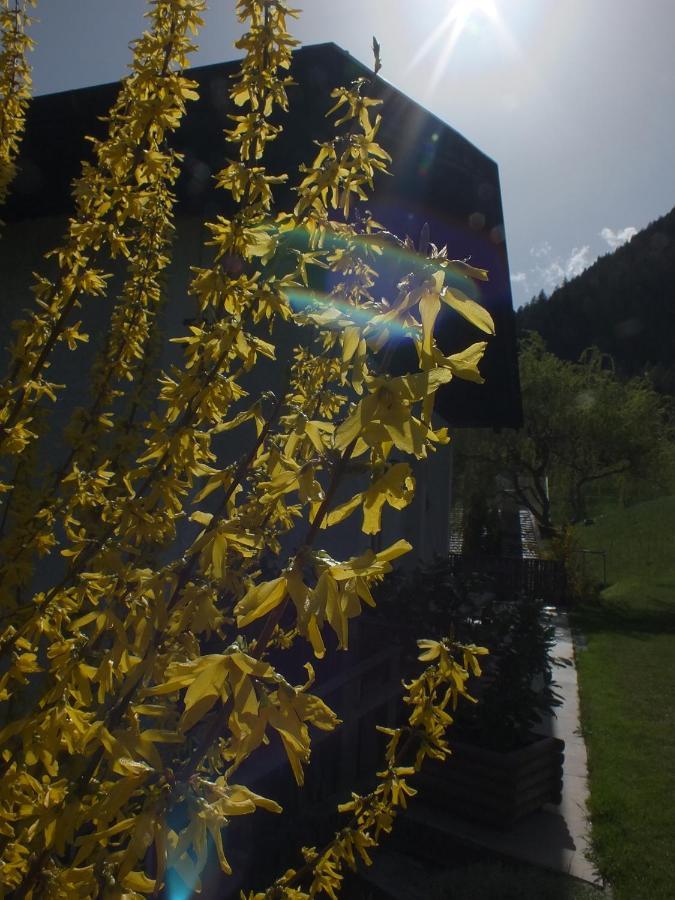 Obergereuth Hof 2021 Daire San Martino In Passiria  Dış mekan fotoğraf